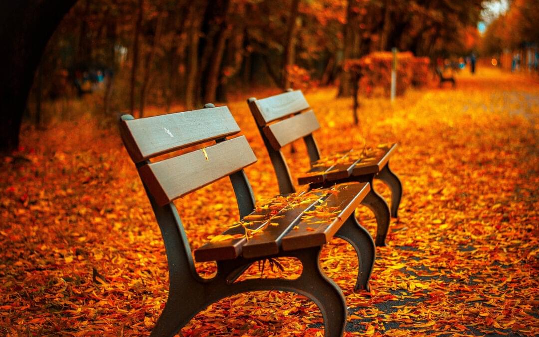 Våre hageavfallsmottak er stengt for sesongen