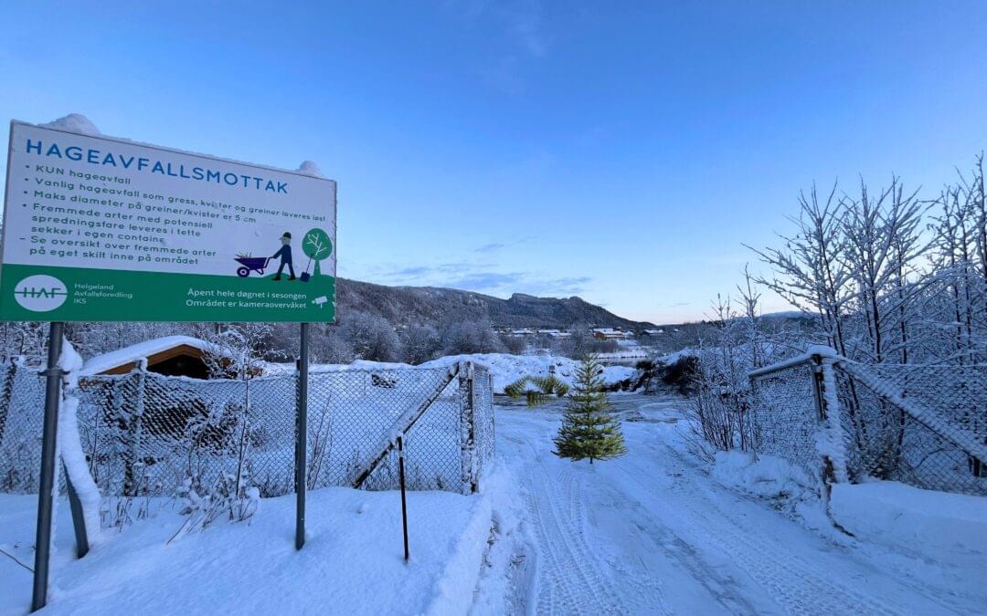 Åpent hageavfallsmottak for juletrær